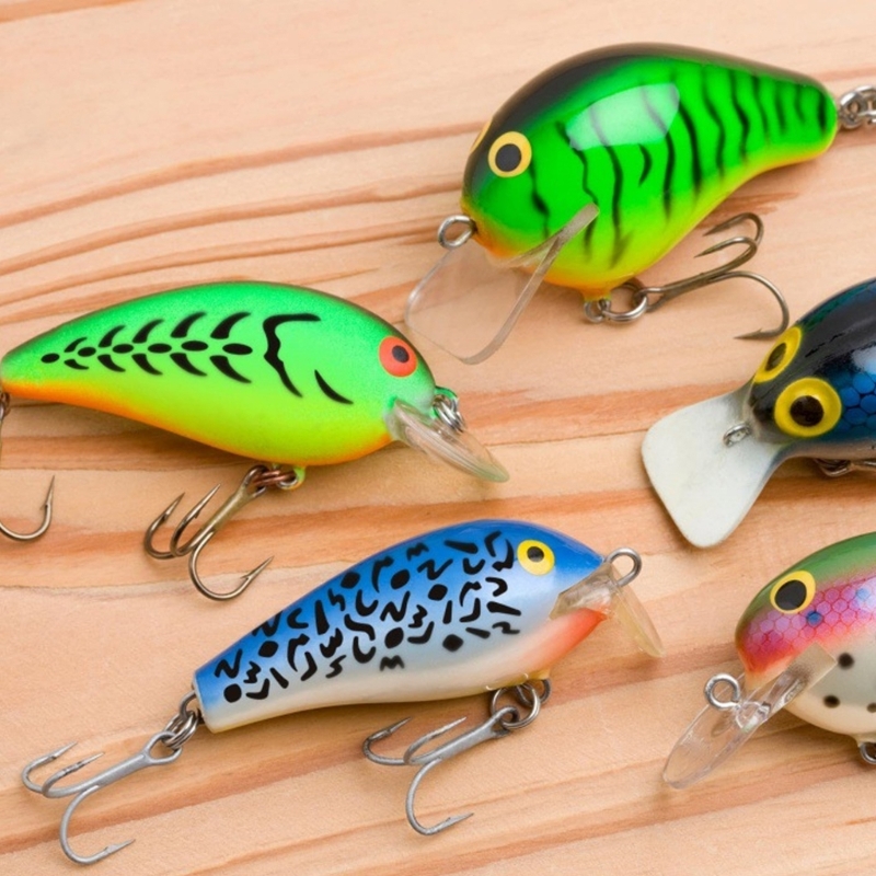 6 قطع من قوالب طلاء طُعم الصيد - مراجعة Fishing Equipment And Accessories وسعره